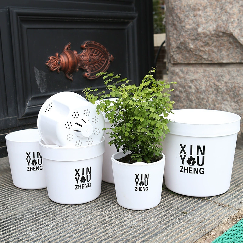 Хранение воды автоматически впитывает прозрачный пластиковый гидропонный цветочный горшок рабочий стол креативный зеленый укроп пластиковый ленивый цветочный горшок