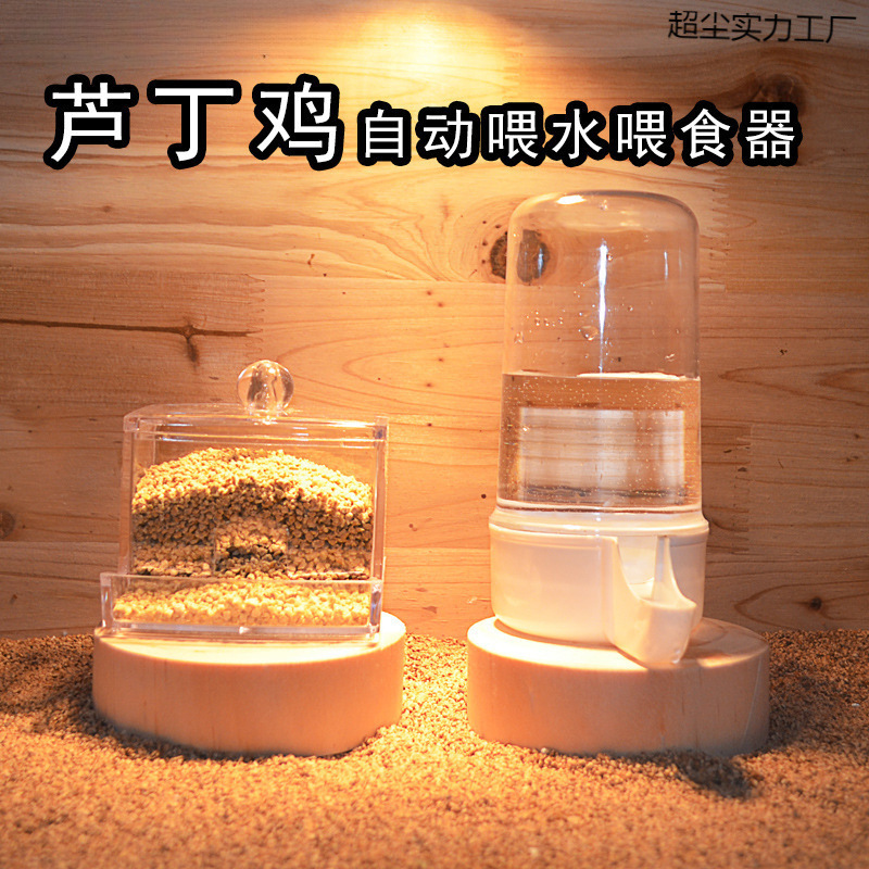 芦丁鸡喂食器饲料盒小鸡食盒水水壶喂水饮水喝水台用品自动专用
