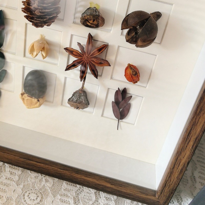 中空立体相框大尺寸挂墙卡纸宫格贝壳海螺果实标本装裱空框展示框|undefined