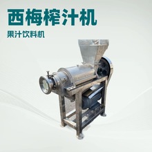苹果梨子胡萝卜椰肉榨汁机 柑橘去籽挤压脱汁机 粉碎榨汁机