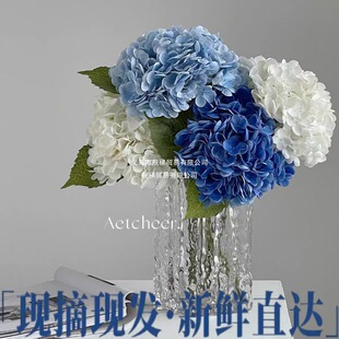 ������r�����r�л���c�����k���ҿ͏d�[�Ų廨���]�S��ֱ�N