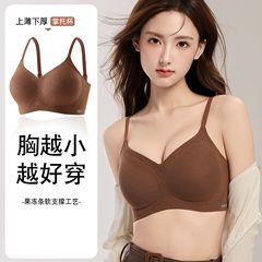 软支撑提拉内衣女秋冬新款无痕固定杯舒适聚拢显大调整型提拉文胸