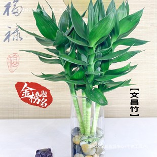 �Ĳ��񎧸��^���ɻ����F��ˮ���B�辰ֲ���҃��^��4֧�x��