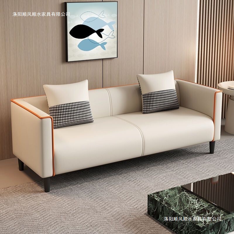 Cat Claw Leather Sofa for Small Apartments, Rental Houses, Living Rooms, Bedrooms, Clothing Stores, Two-Seater and Three-Seater Sofa, Meeting and Reception Sofa