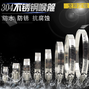 304 Stainless Steel Hose Clamp, 316 Water Pipe Buckle, Quick-Install American-Style Pipe Clamp and Pipe Hoop Fixing