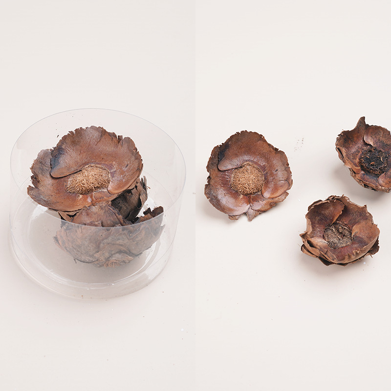 天然アロマキャンドル乾燥果花材クリスマス花輪diy乾燥花材植物標本装飾画松果|undefined