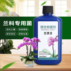 蘭霊王蘭専用栄養液促花胡蝶蘭君子蘭科抗菌多矢蘭墨蘭養花肥料
