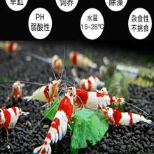 �ѻ��r�Ꭷ�^�p�r���w��ˮ����ښ��rˮ���r�ݸ׳����r�����r���]