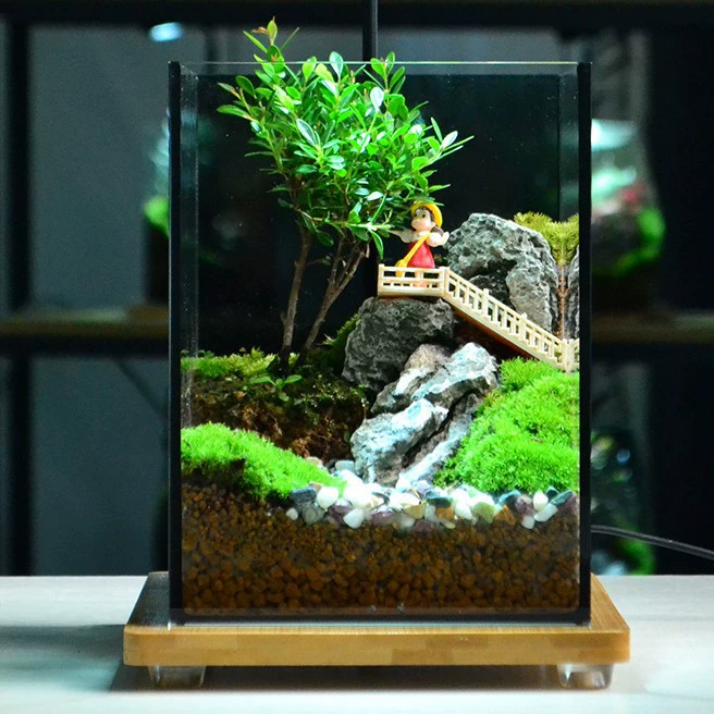 Мх микро-ландшафтный готовый квадратный цилиндр ландшафтный креативный рабочий стол ландшафтный подарок микро-ландшафтный украшения подарок хороший зеленый