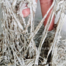 iƤS iƤ߅ iƤz iz ĵԭ  Ƥz