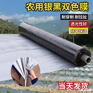 Silver black two-color mulching film new material thickened insect-proof reflective mulching film covering weeding film insulation agricultural mulching film
