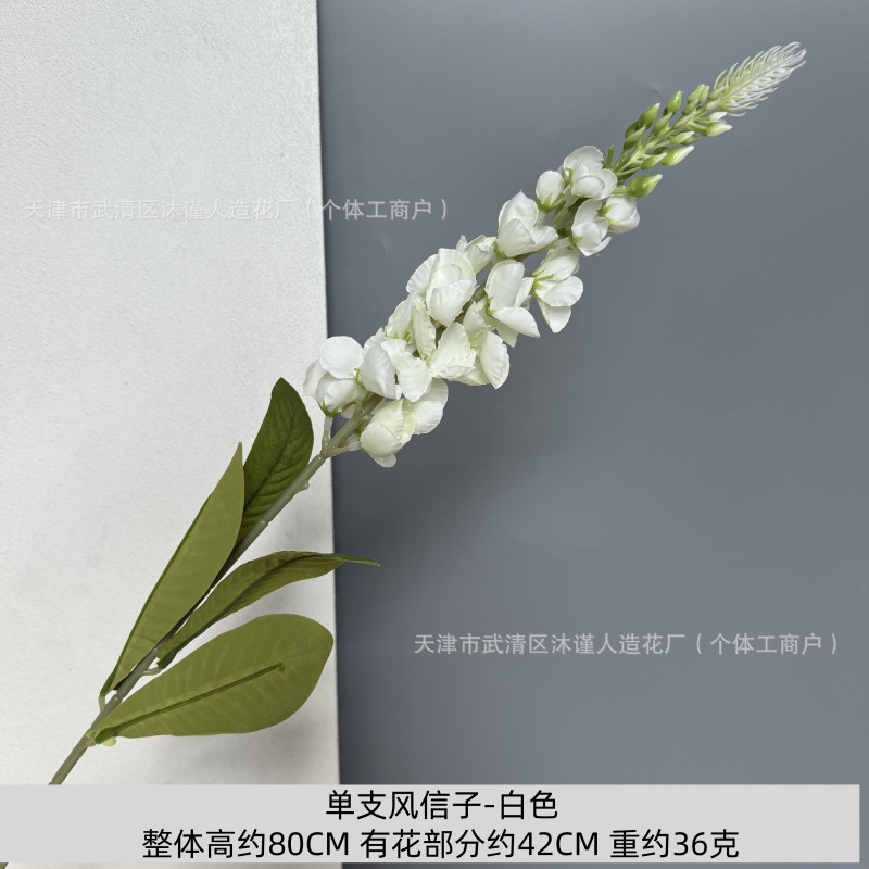 단일 히아신스