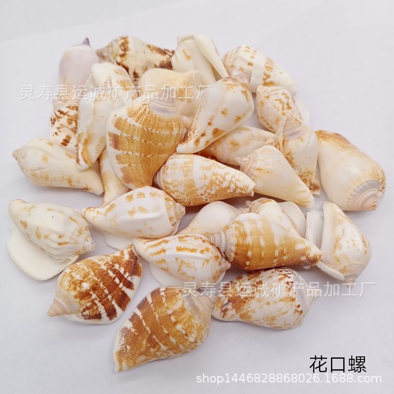 IMG_20210903_141451_副本