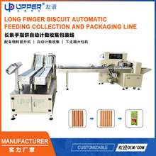 �L�l��ָ��Ԅ�Ӌ���ռ����b������Ccounting packaging line