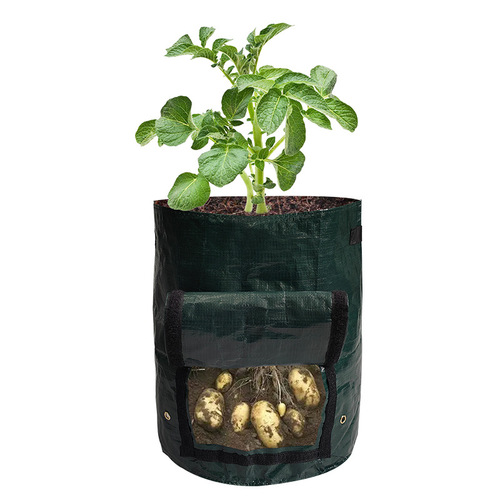 PE Potato Planting Bag Strawberry Aesthetic Planting Bag Wholesale Gardening Window Observation Tree Seedling Raising Origin Manufacturer Potted Planting