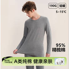 现货秋冬纯棉单件上衣保暖内衣打底毛衫男士秋衣薄款