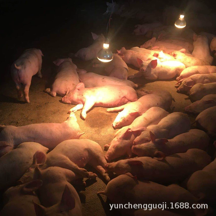 Высококачественная износостойкая резиновая подушка для свинарника, небольшая изоляционная прокладка поросят, резиновая подушка для забора крупного рогатого скота, свинарная изоляционная плита