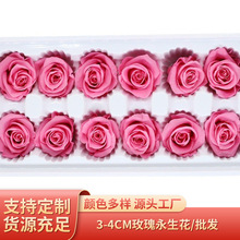 B级3-4cm玫瑰保鲜花永生花批发  七夕情人节礼物圣诞配材资材
