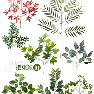 ֲ���쾰��Ć�֧�پGֲ�~���X�~���~�ۘǲ��̈��͏d�b���