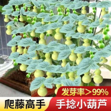 ���羳��؛��������Ʒ�������J�ѷN����С���ˌ����J�ļ����҃���