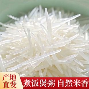 ���؃r�������L��؈�������������׃��|�z�������r�Ҵ��׬Fĥ�F�l