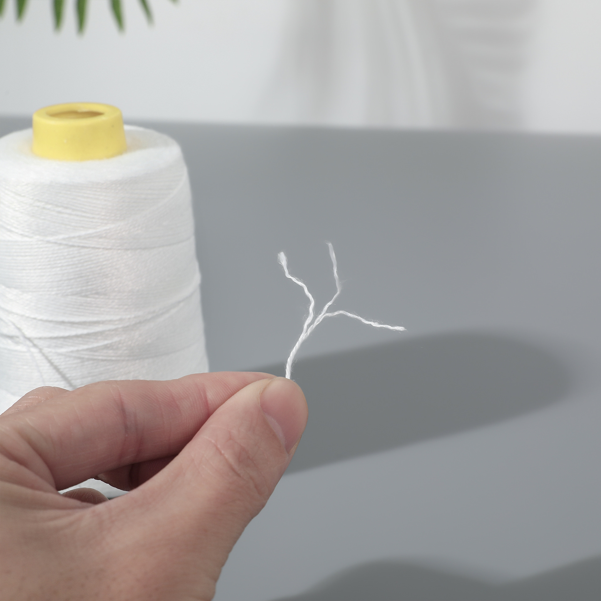 흰색 125g 순사 (3합)