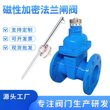 福建奥巴银阀门磁性加密锁闭弹性密封闸阀FDZ45X-16Q法兰软密封