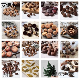 �ɻ����l����Ƭ�ɻ��L���ɹ����ɻ�С���»�����޹����