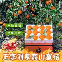 浙江海涌泉蜜橘新鮮蜜桔台州橘子當季水果10斤整箱包郵孕婦新鮮水