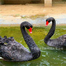 �����Z���w���� Ó�غ����Z�� ��������Z�^�p�����Z���^�����Z��