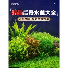 ��ˮ��ֲ���~���B�~����������ˮ�žGֲ�����~�����B�쾰�ײ�