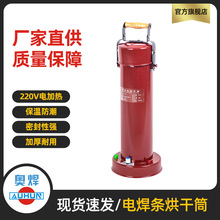 �º��纸�����ͲDT-10��Яʽ������Ͳ220V����ʽ�������º��Ͱ