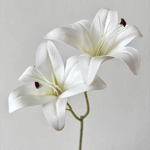 Double-headed lily simulation flower wedding wedding decoration flower material film fake flower path lead flower arrangement living room decoration