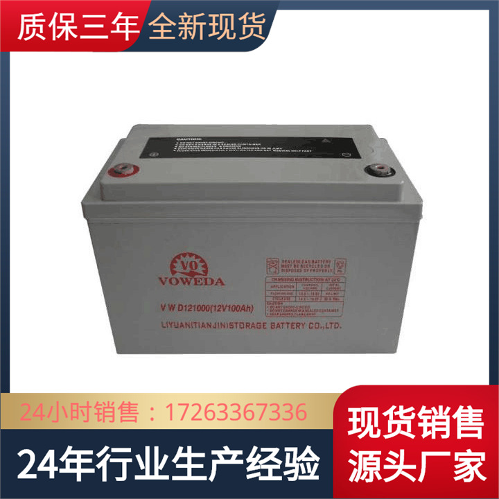 (VOWEDA)沃威达蓄电池VWD121000阀控式铅酸蓄电池12V100AH