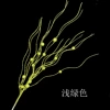 Light green band fruit