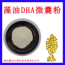 ����DHA΢�ҷ����м������ͷ��ֻ���ʮ��̼��ϩ��1kg��