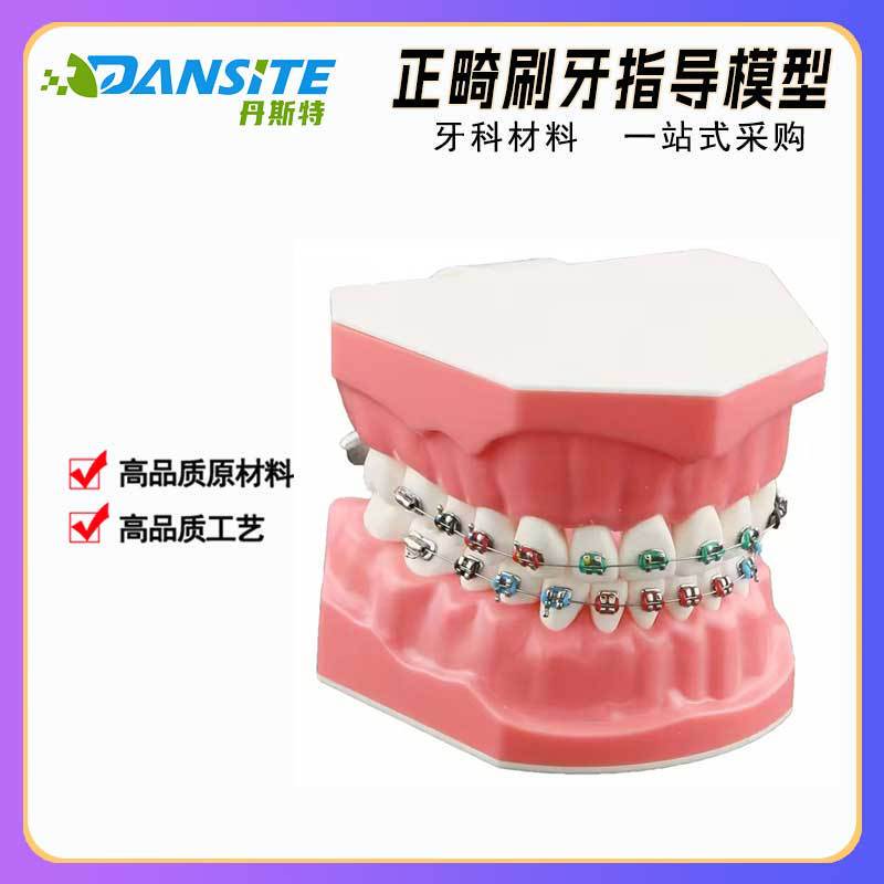 Foreign Trade Products: Dental Guide Models, Neat Teeth Alignment, Flossing between Teeth, Practice Exercises, Orthodontic Bracket Cleaning, and Wire Placement Foreign Trade Products: Dental Guide Models, Neat Teeth Alignment, Flossing between Teeth, Practice Exercises, Orthodontic Bracket Cleaning, and Wire Placement