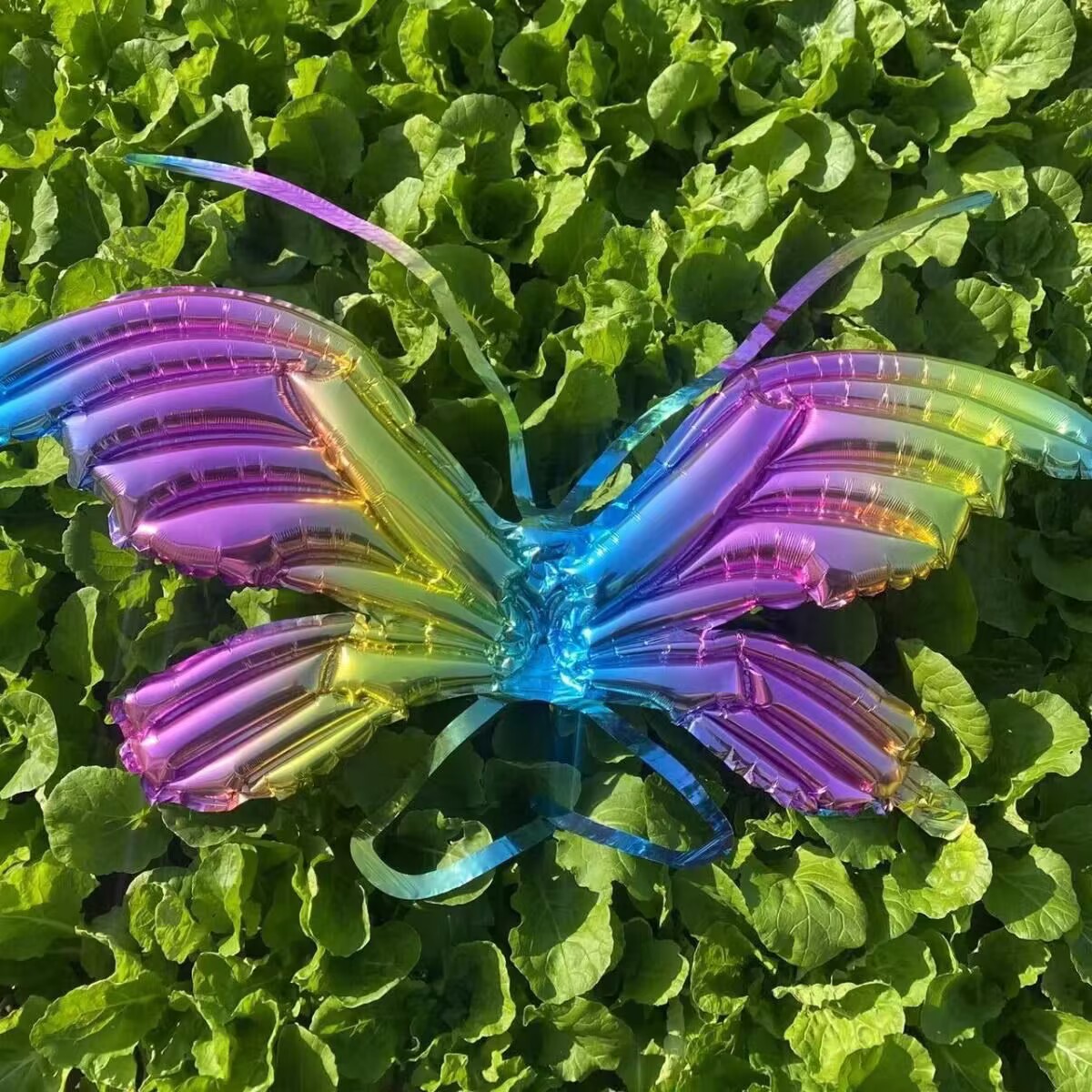 9E338AB3E6341CCA661CF5D9372B69