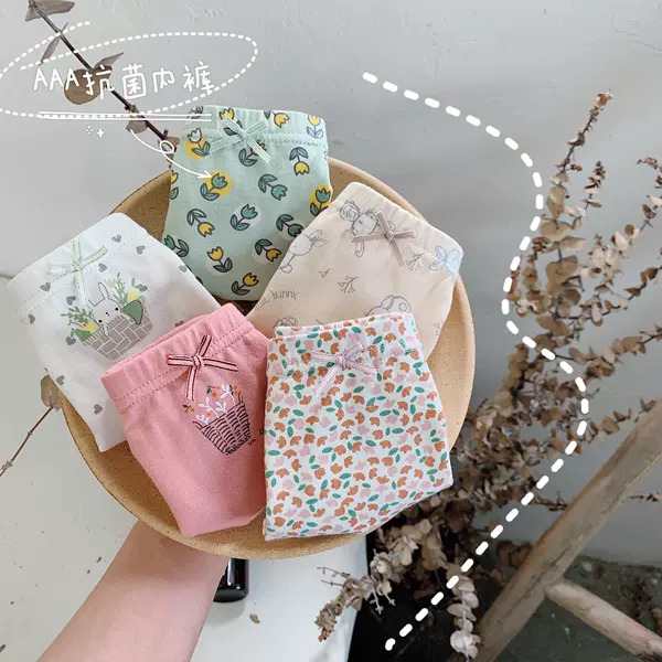 Xiaohuahua 228