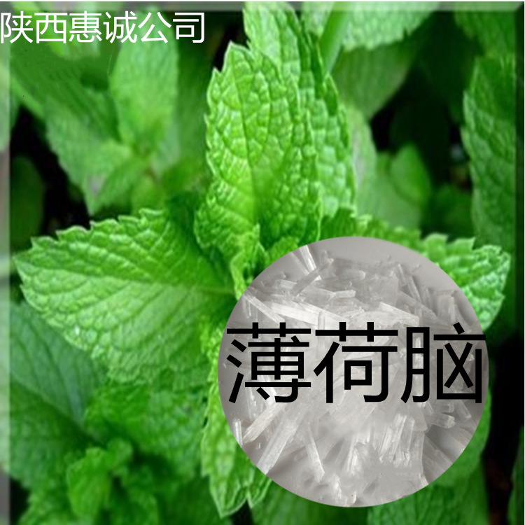 薄荷脑 恵诚现货供应西安及时发货量大从优