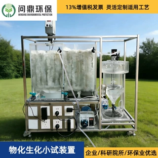 污水处理小试反渗透设备 物化生化装置含沉淀池溢流堰带生物填料