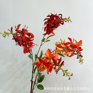 �¿��ͩ���滨���������컨��c�쾰ܛ�b��O��ˇ