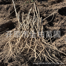 ����ѿС��|���������l����ѿ���� ˮ�����ѿ��֦��U�����^