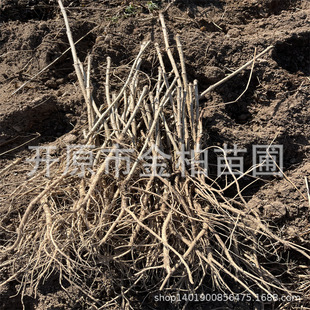 ����ѿС��|���������l����ѿ���� ˮ�����ѿ��֦��U�����^