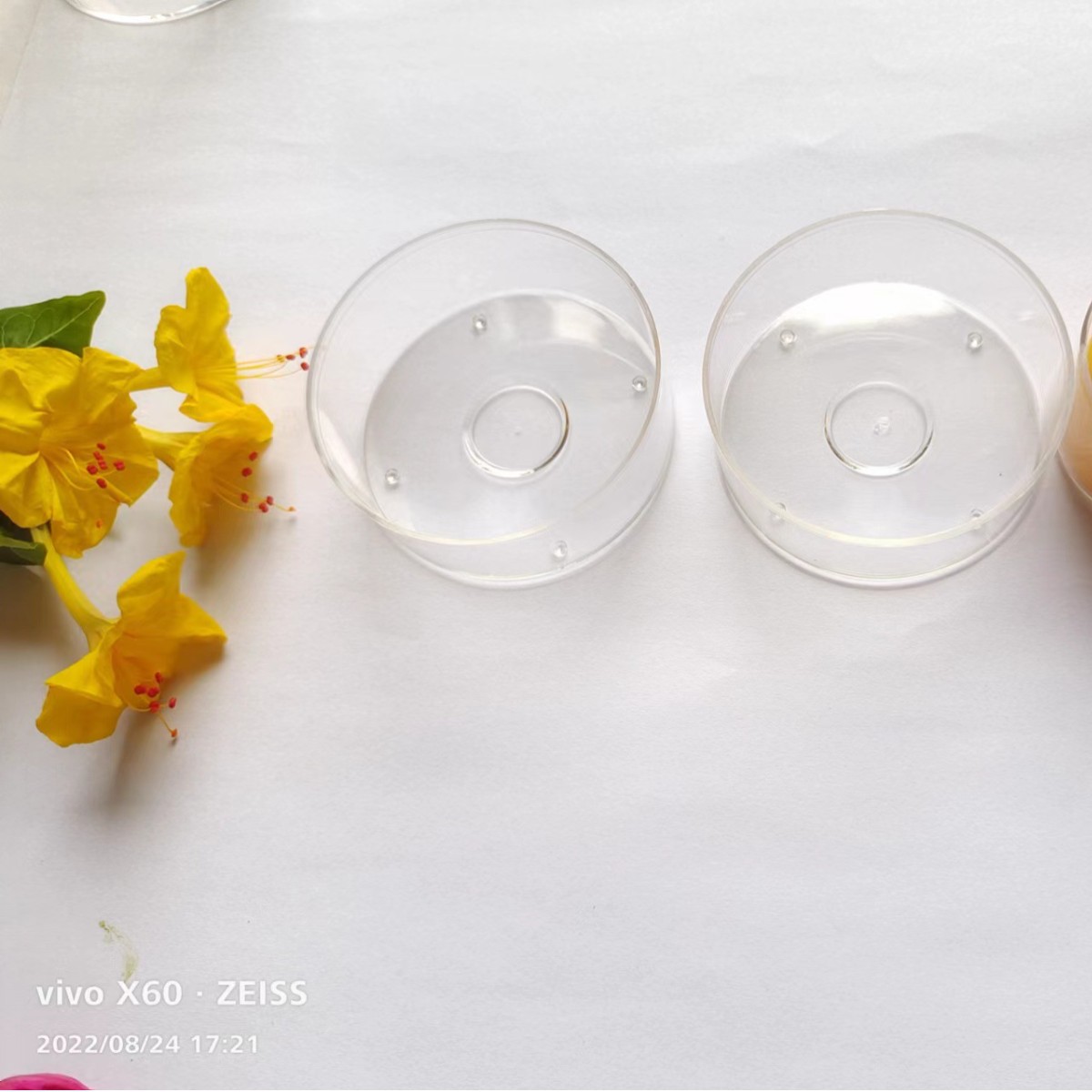 阻燃塑料蜡烛壳 DIY茶蜡铝壳替代品 DIY注塑蜡烛杯茶蜡壳蜡毂