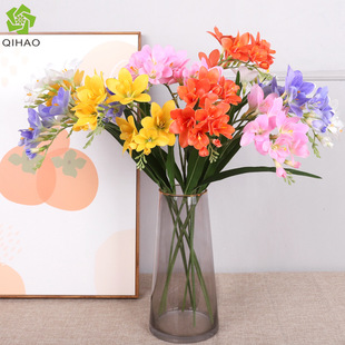 ���W�L������ѩ�mС�n�m�����҃ȿ͏d�b��[����ѩ�m���滨���l