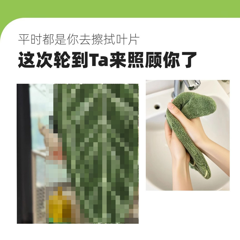植物叶子擦手巾热植花烛手帕挂式厨房卫生间浴室可爱加厚创意毛巾|undefined