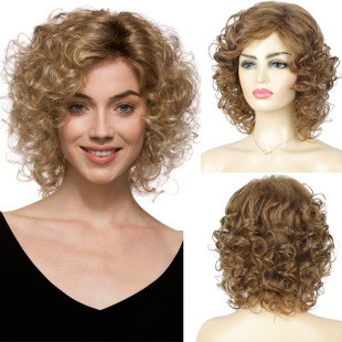 Cross-Border Fashion European and American White Wigs for Women Mixed Color Fluffy Small Curly Short Chemical Fiber Headgear Short Wigs Wholesale
