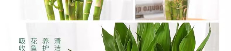 a86c4cc6-e7c1-44d3-a5be-215193e5609e.jpe