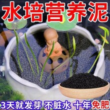 ��ɏ������ˮ������ɏ�߷�������ˮ����ˮ��ɏ˯ɏˮ��ֲ��I�B��